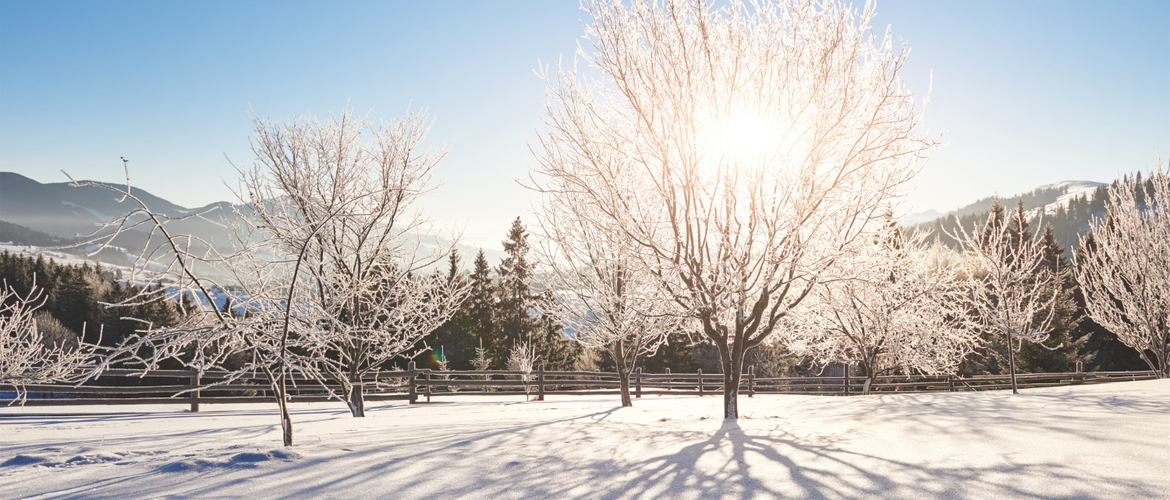 Studio Kinesthetic - Najbolji studio u Novom Sadu za pedikir i tretmane lica